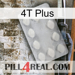 4T Plus 16